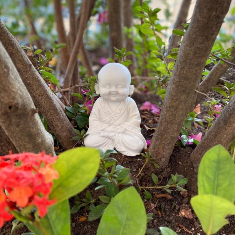 Buda Sorridente M Meditando